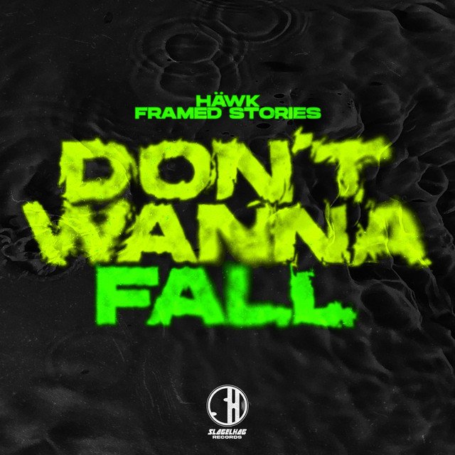 Hawk Framed Stories - Dont Wanna Fall ( Wallison Remix )